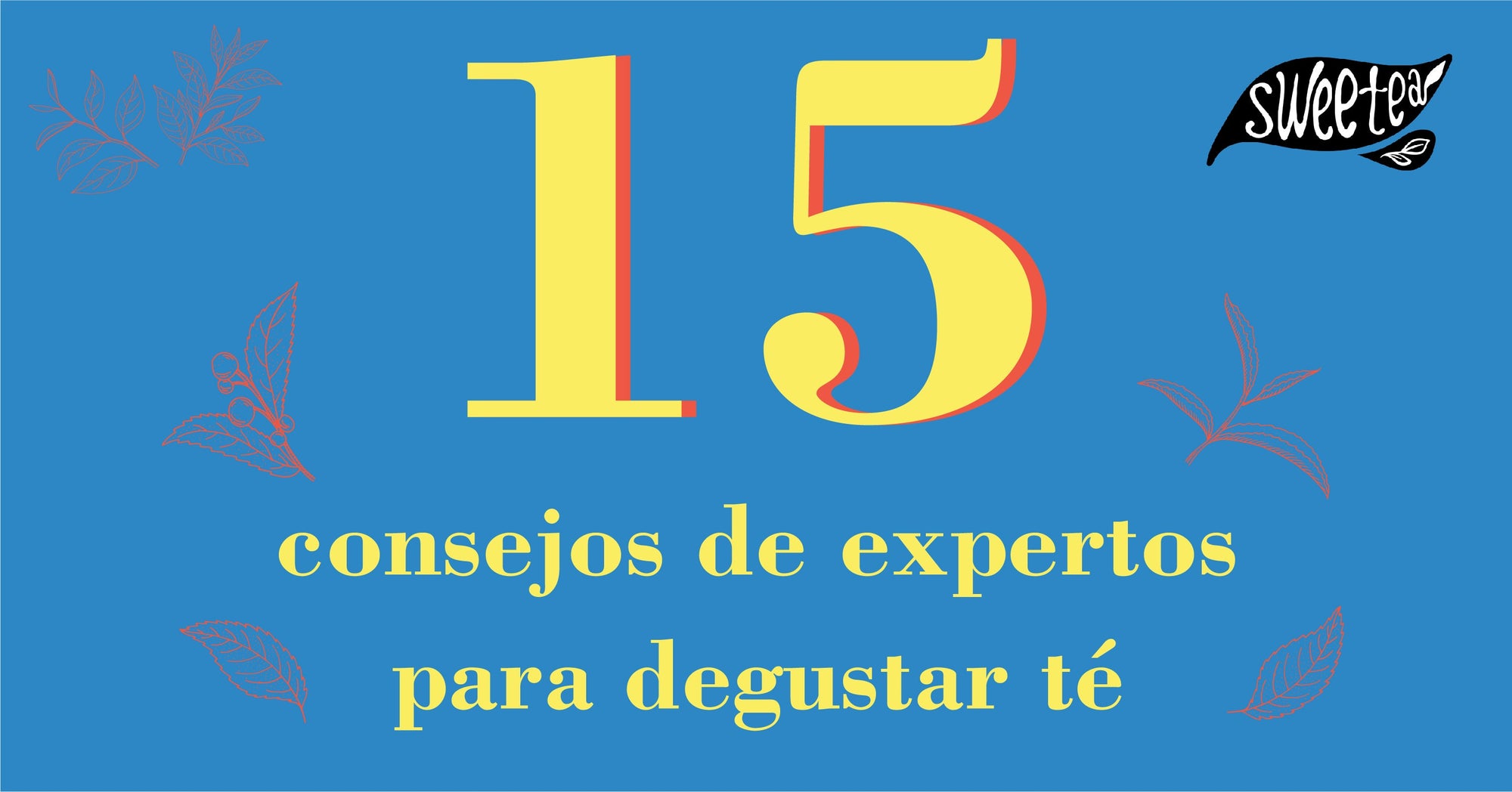 15 consejos de expertos para aprender a degustar un té
