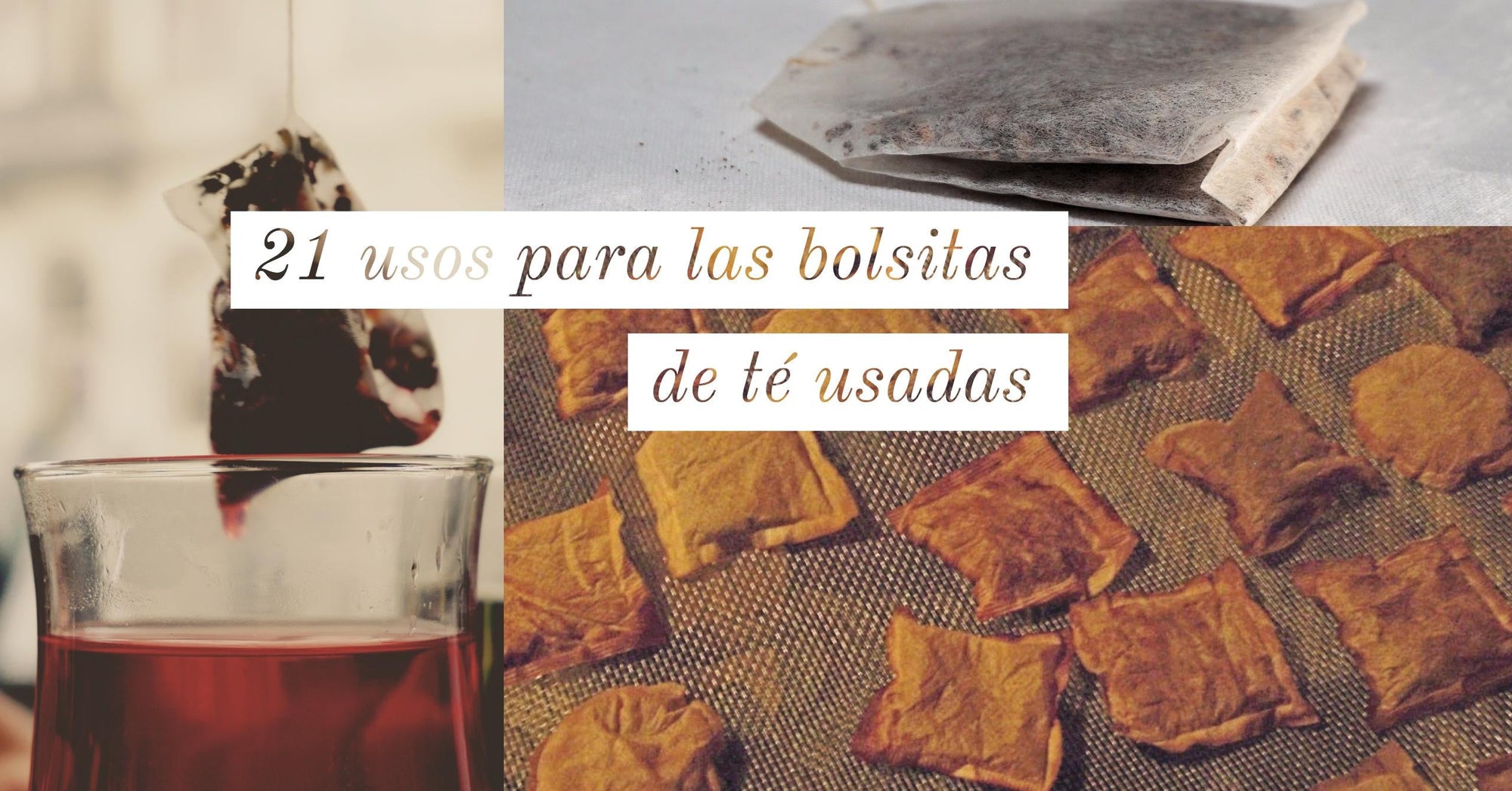 21 usos que les puedes dar a tus bolsitas de té usadas