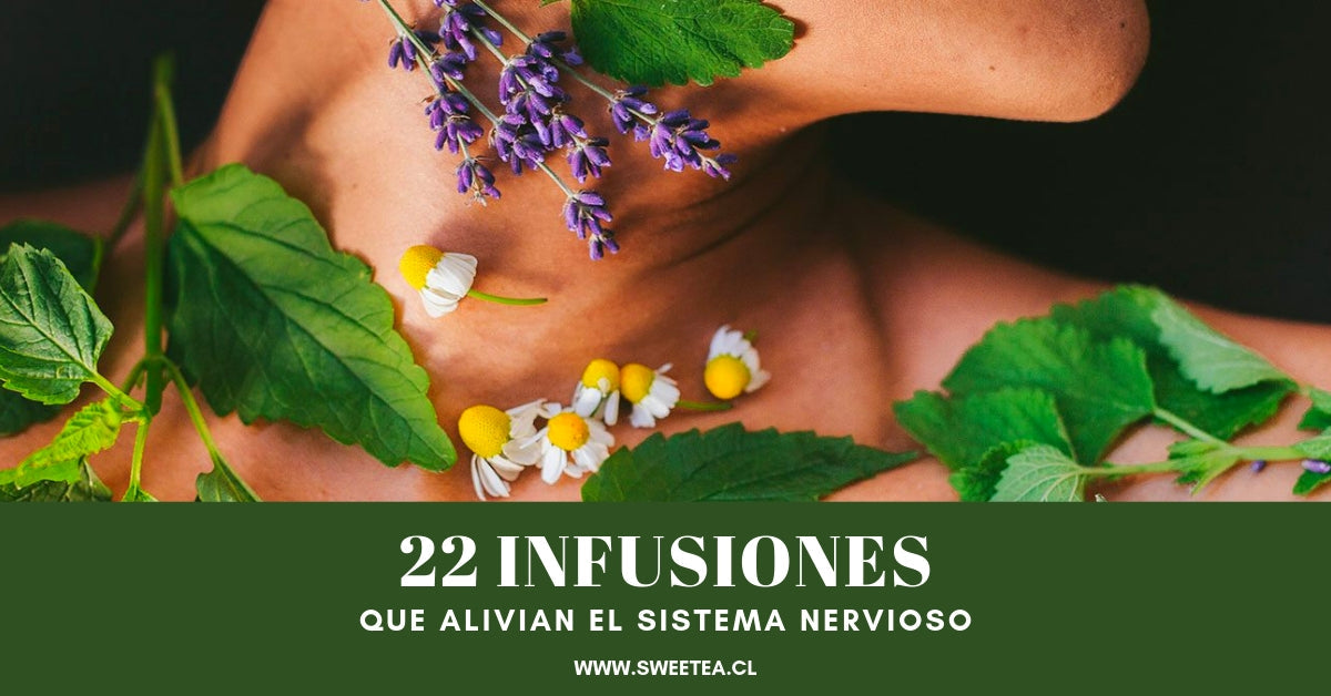 22 Infusiones que alivian malestares del sistema nervioso