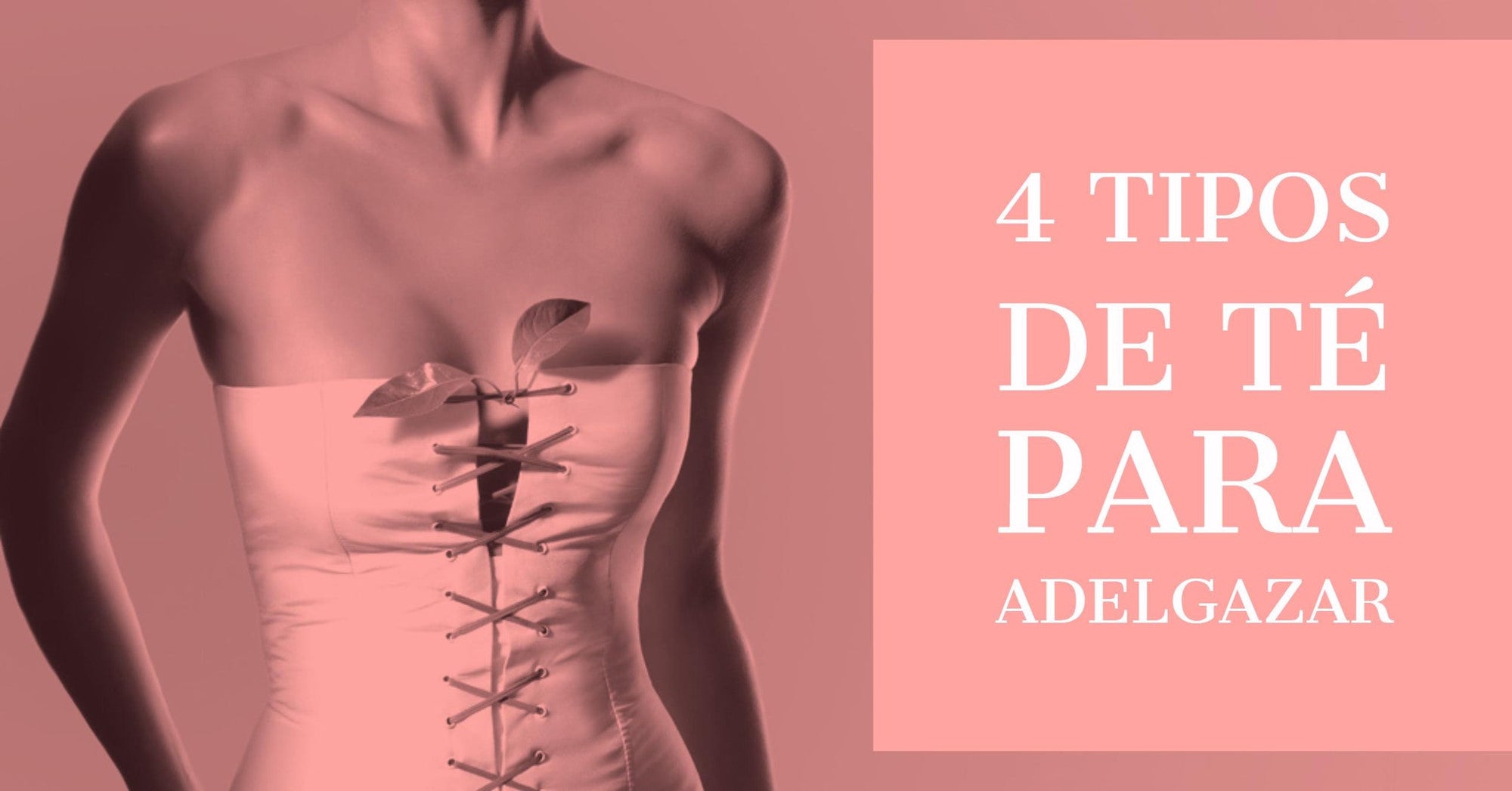 4 Tipos de té para bajar de peso
