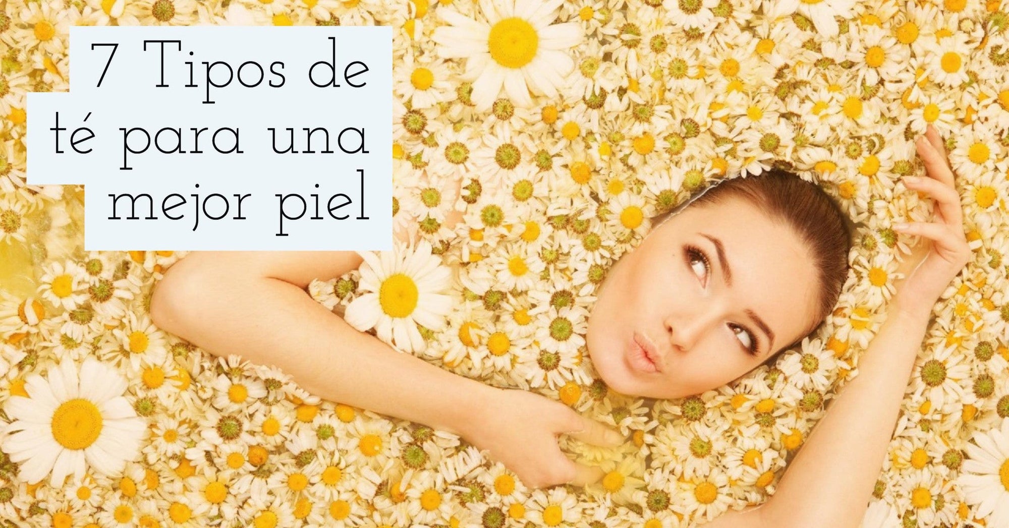 7 Tipos de té para una mejor piel