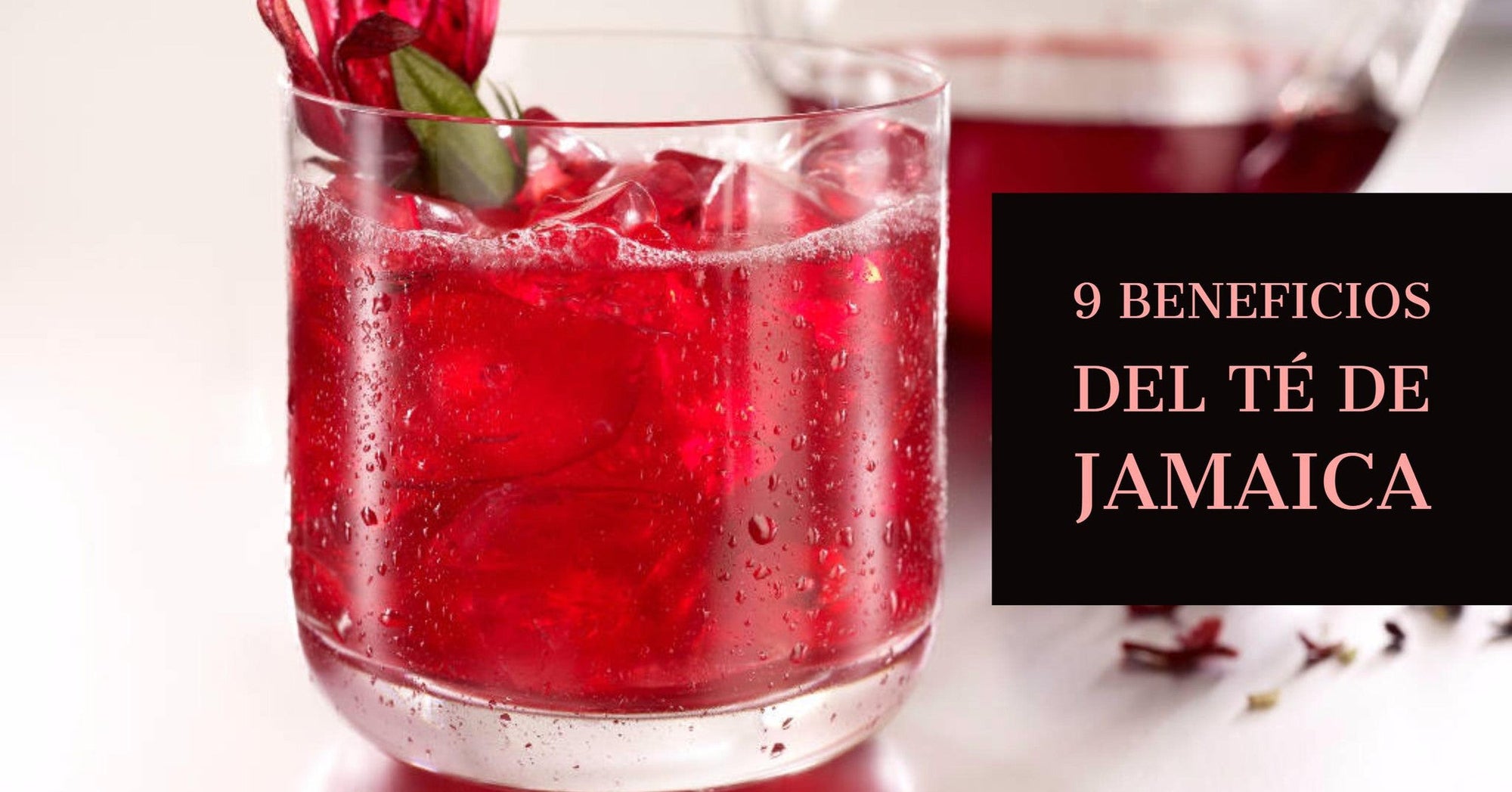 9 Beneficios y propiedades del té de Jamaica