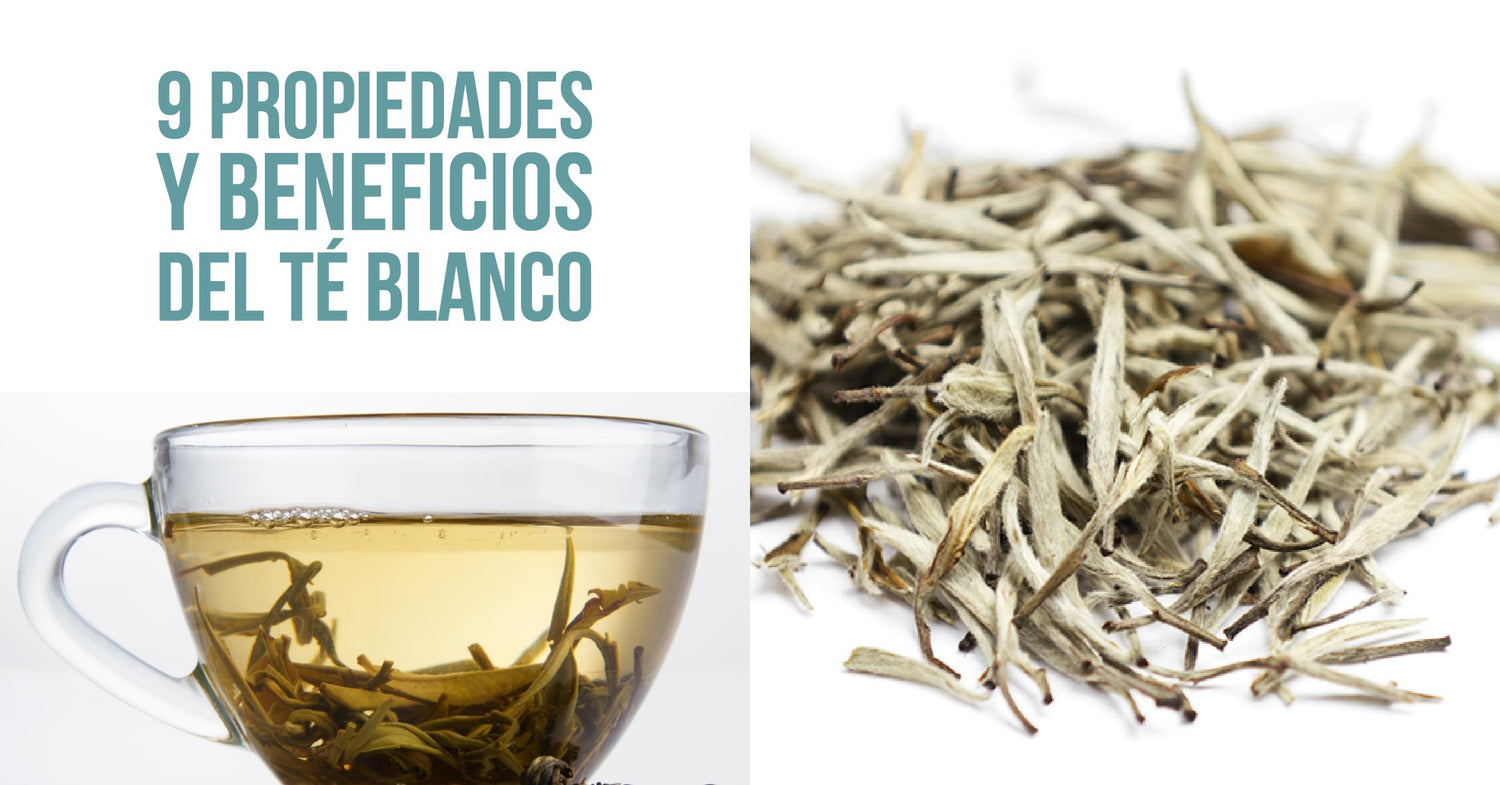 9 Propiedades y Beneficios del té blanco