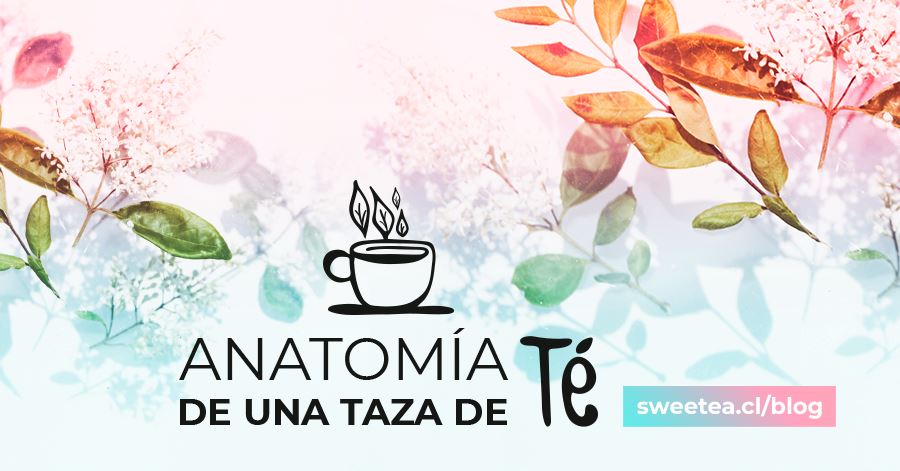 Anatomía de una taza de té