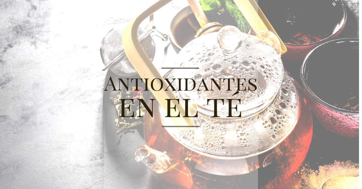 Antioxidantes en el té: todo lo que necesitas saber
