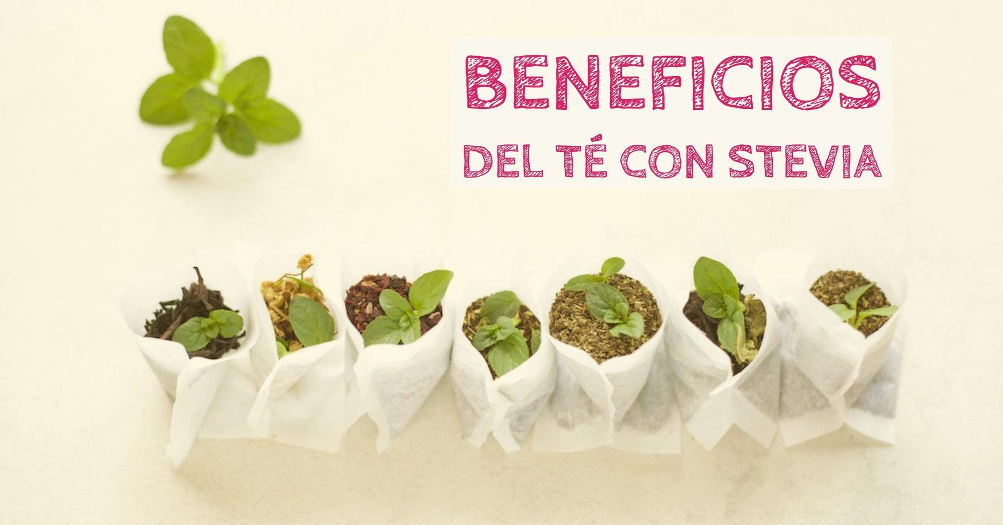 Beneficios de tomar té con stevia