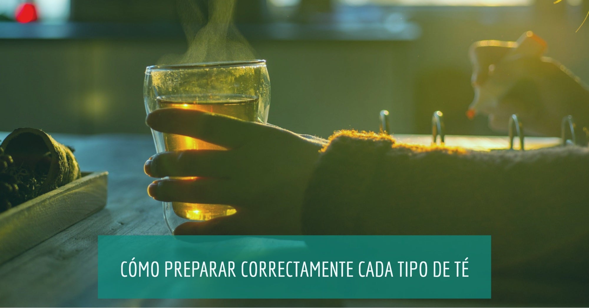 Cómo preparar y tomar correctamente cada tipo de té