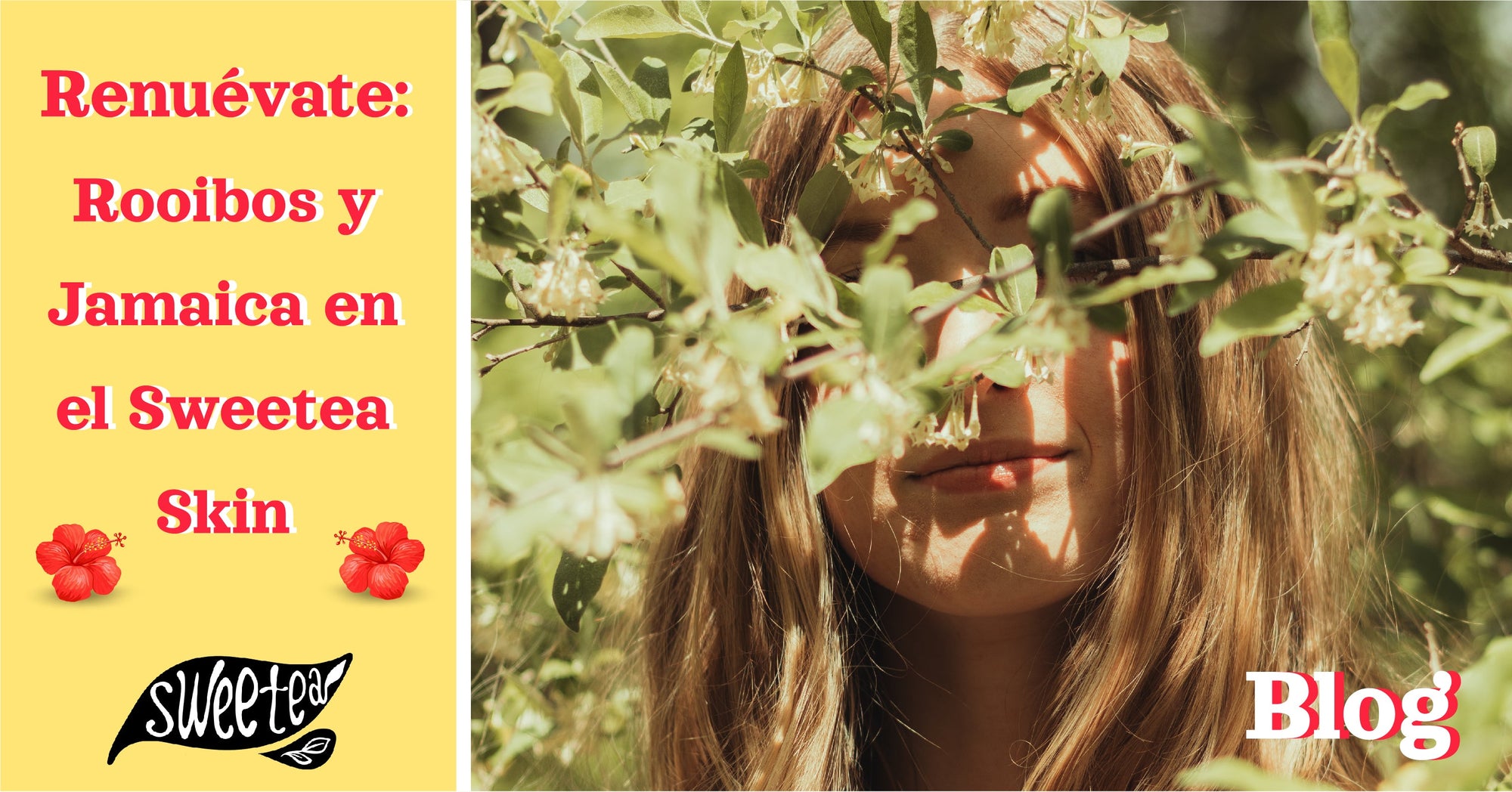 Con el nuevo Sweetea Skin tu piel brillará con toda su belleza natural: Rooibos - Jamaica