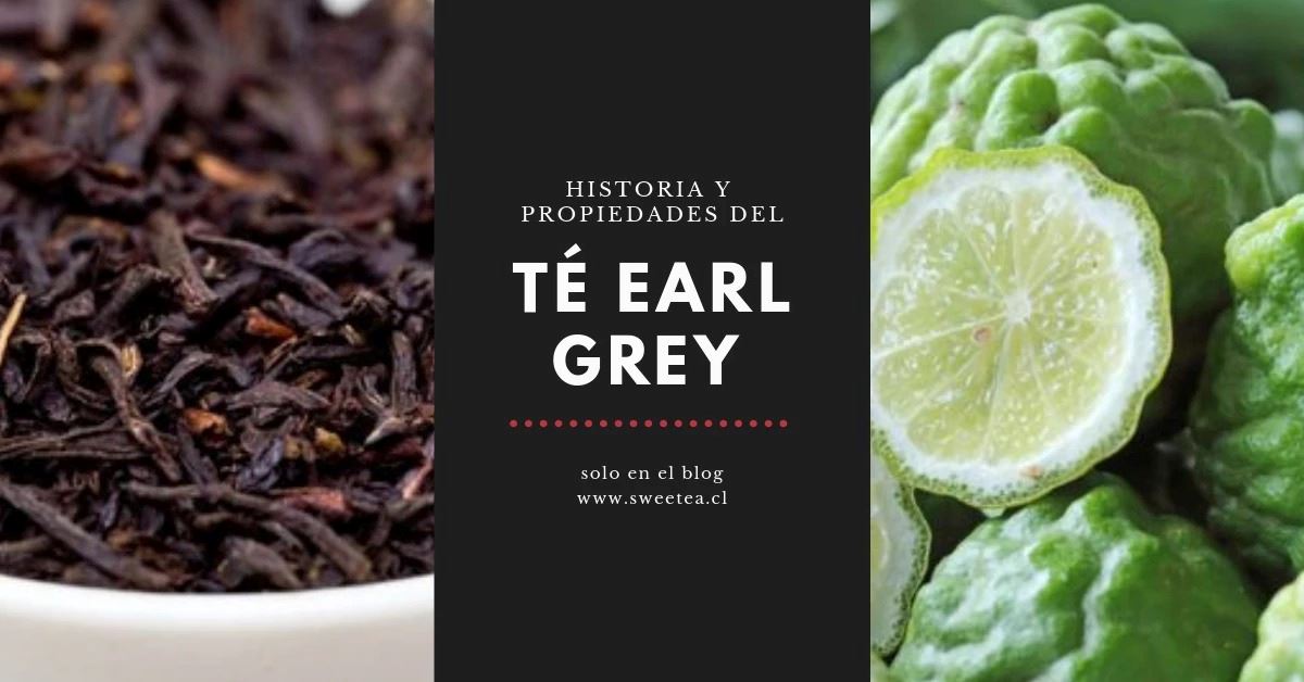 Earl Grey o Té negro con Bergamota: Historia y Propiedades