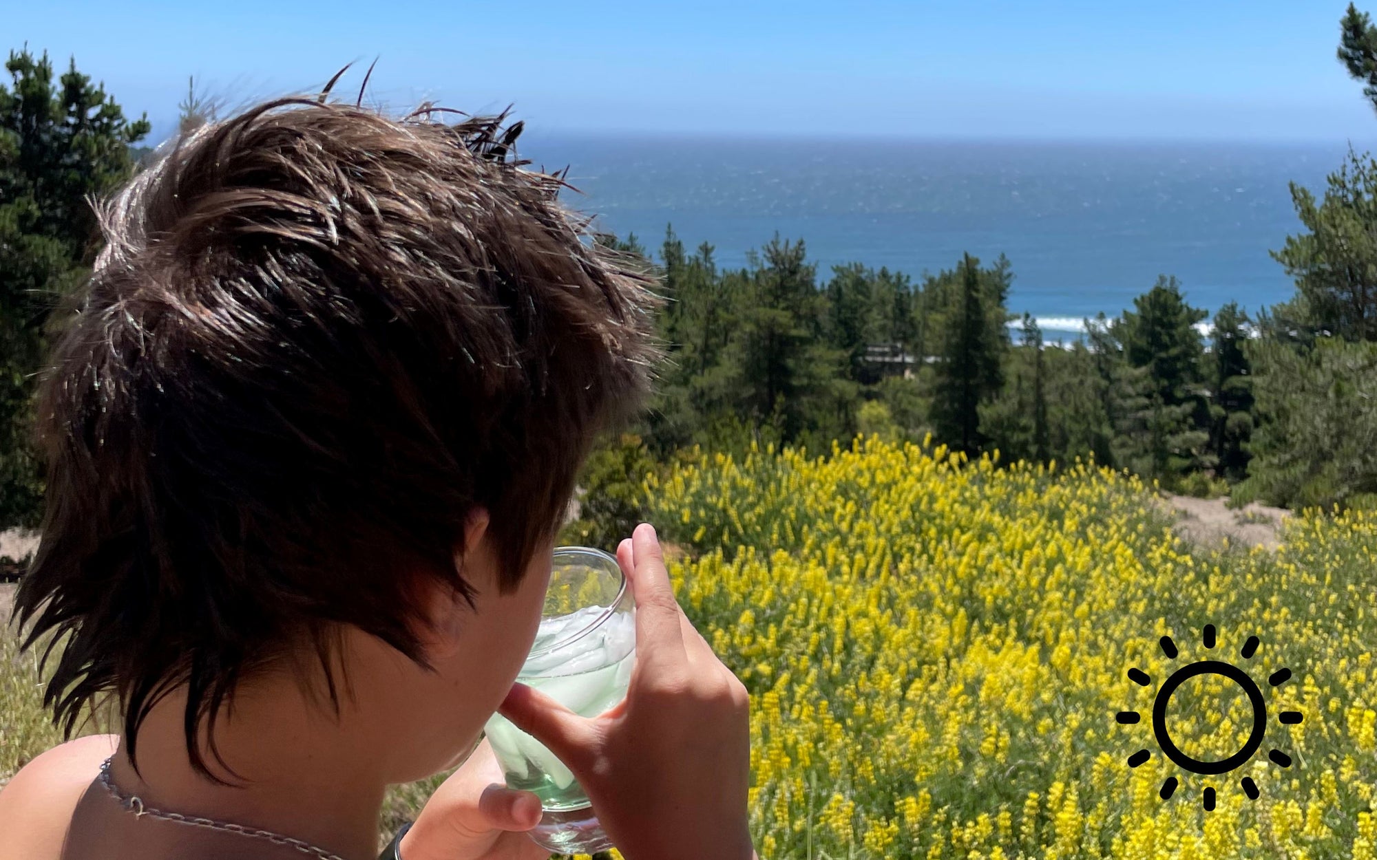 El verano está llegando: combate el calor con el mejor Té Frappé