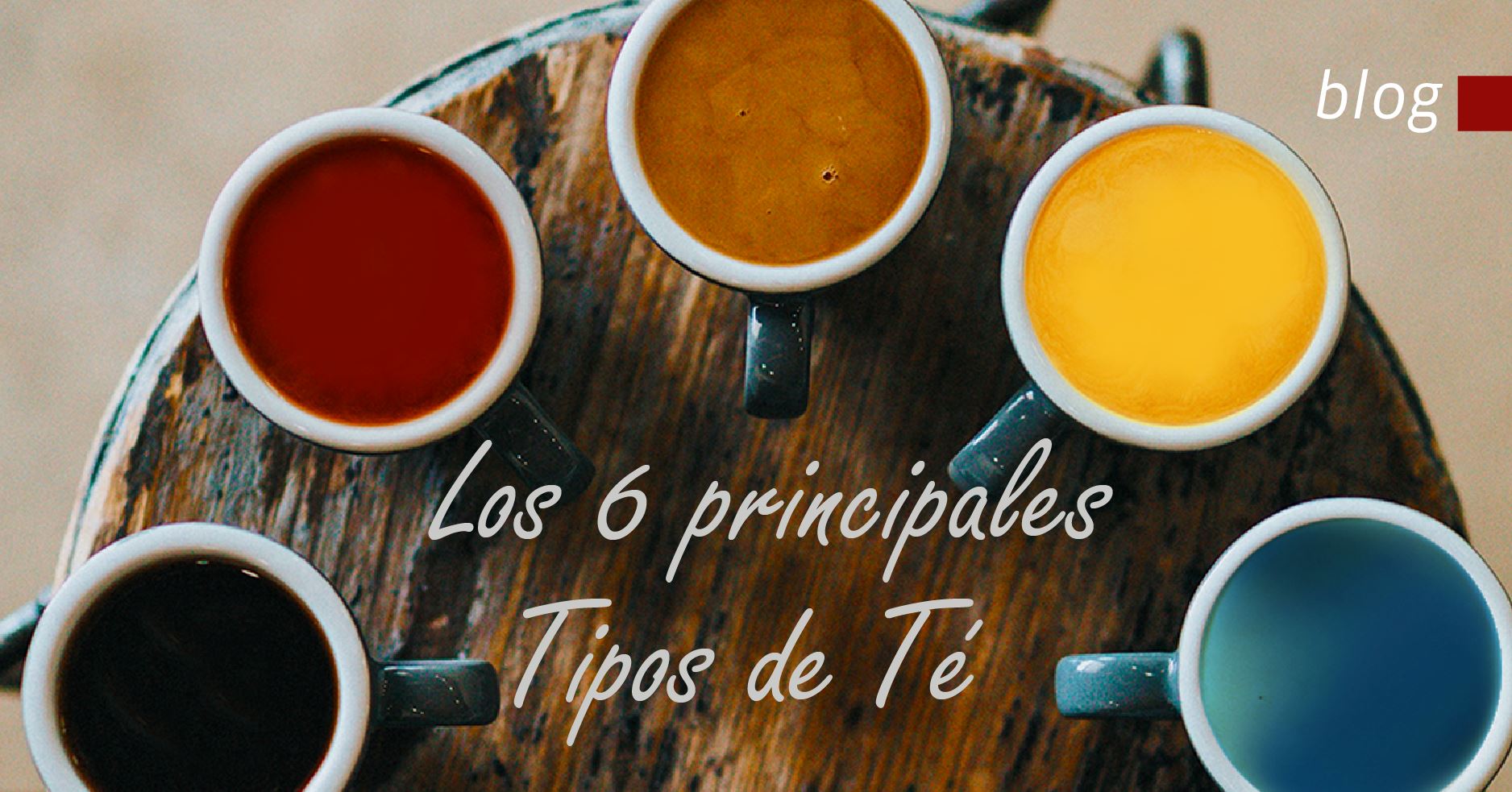 Los 6 principales Tipos de Té