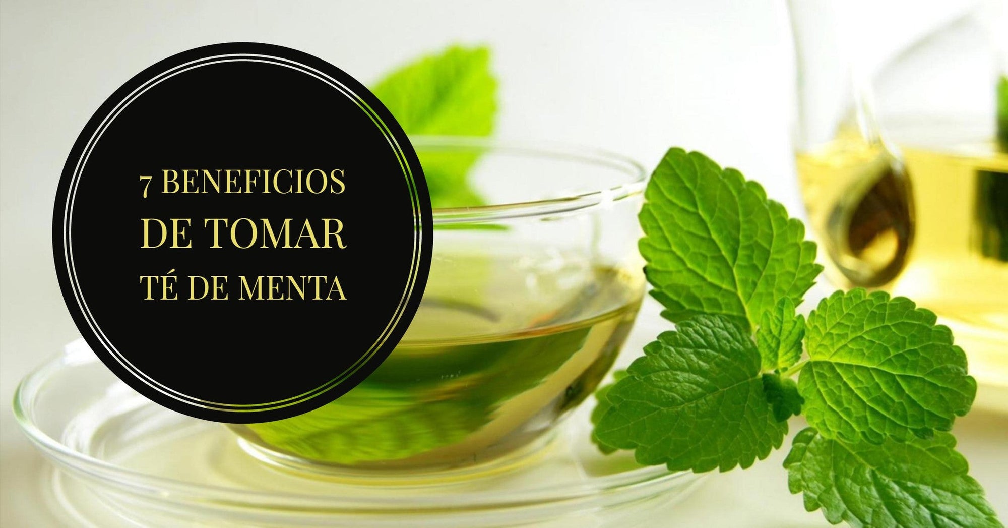 ¿Para qué sirve el té de menta? 7 Beneficios de tomar té de menta