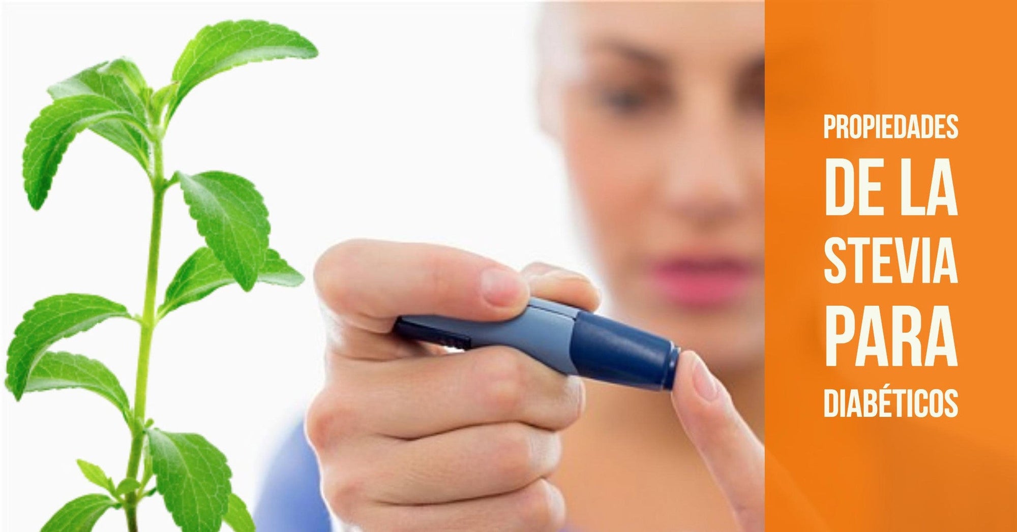 Propiedades de la Stevia para diabéticos
