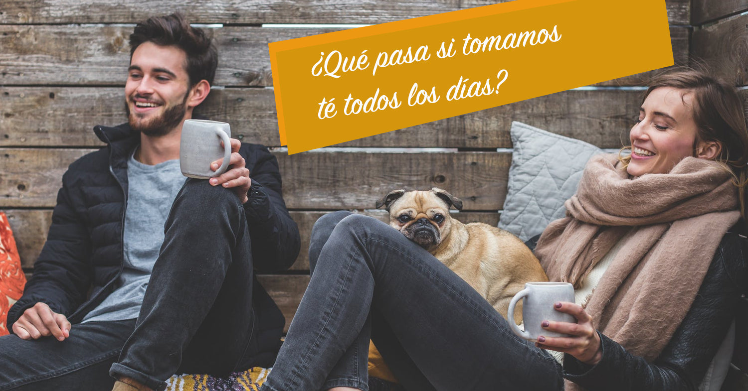 ¿Qué sucede si bebemos té todos los días? Estudios y Efectos