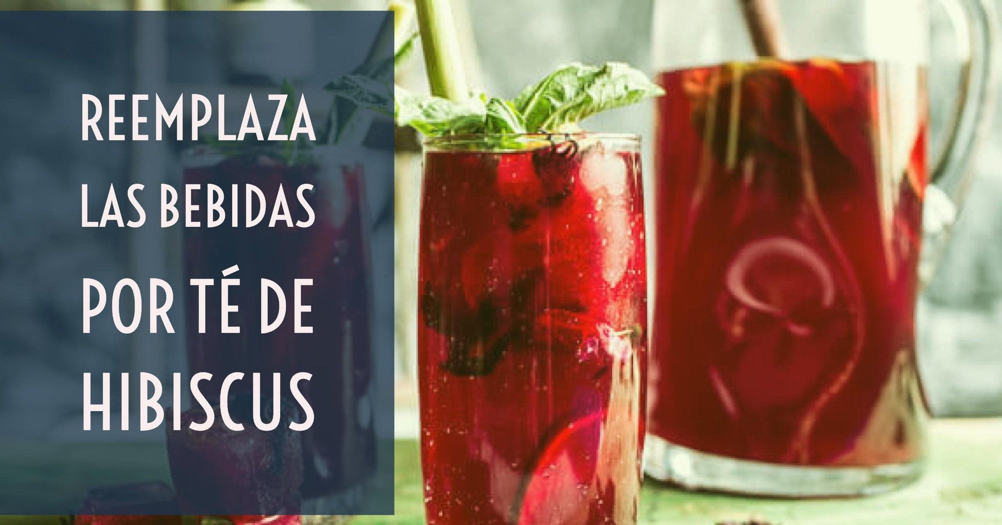 Reemplaza las bebidas por Té de Hibiscus y comienza una vida saludable