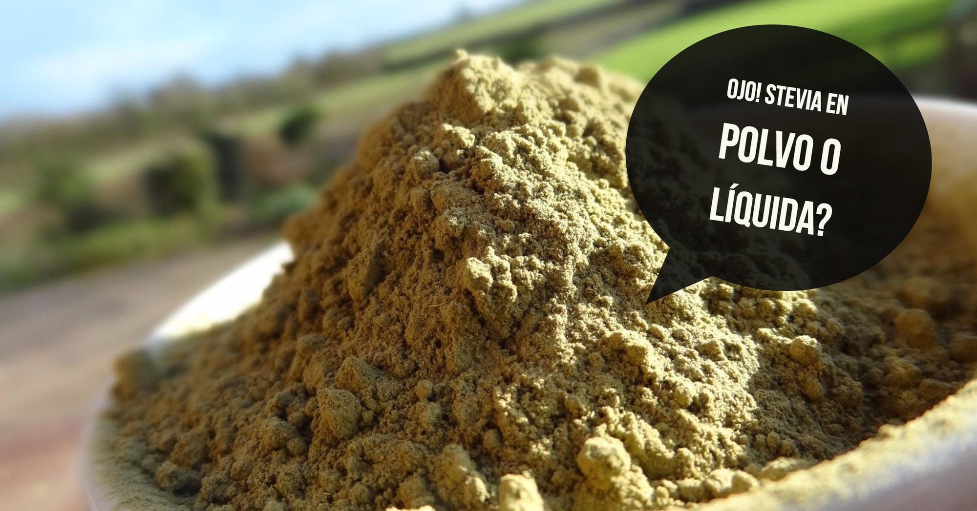 ¿Stevia en polvo o liquida? cómo se produce y sus peligros