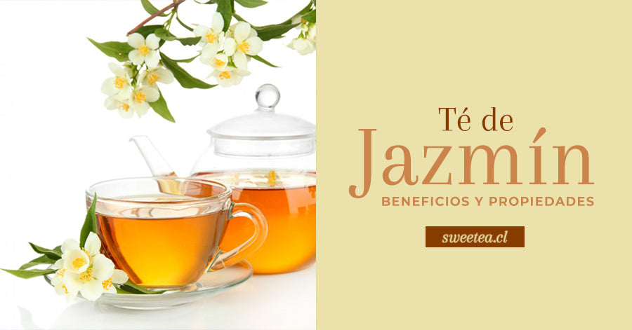 Té de Jazmín: Beneficios y Propiedades