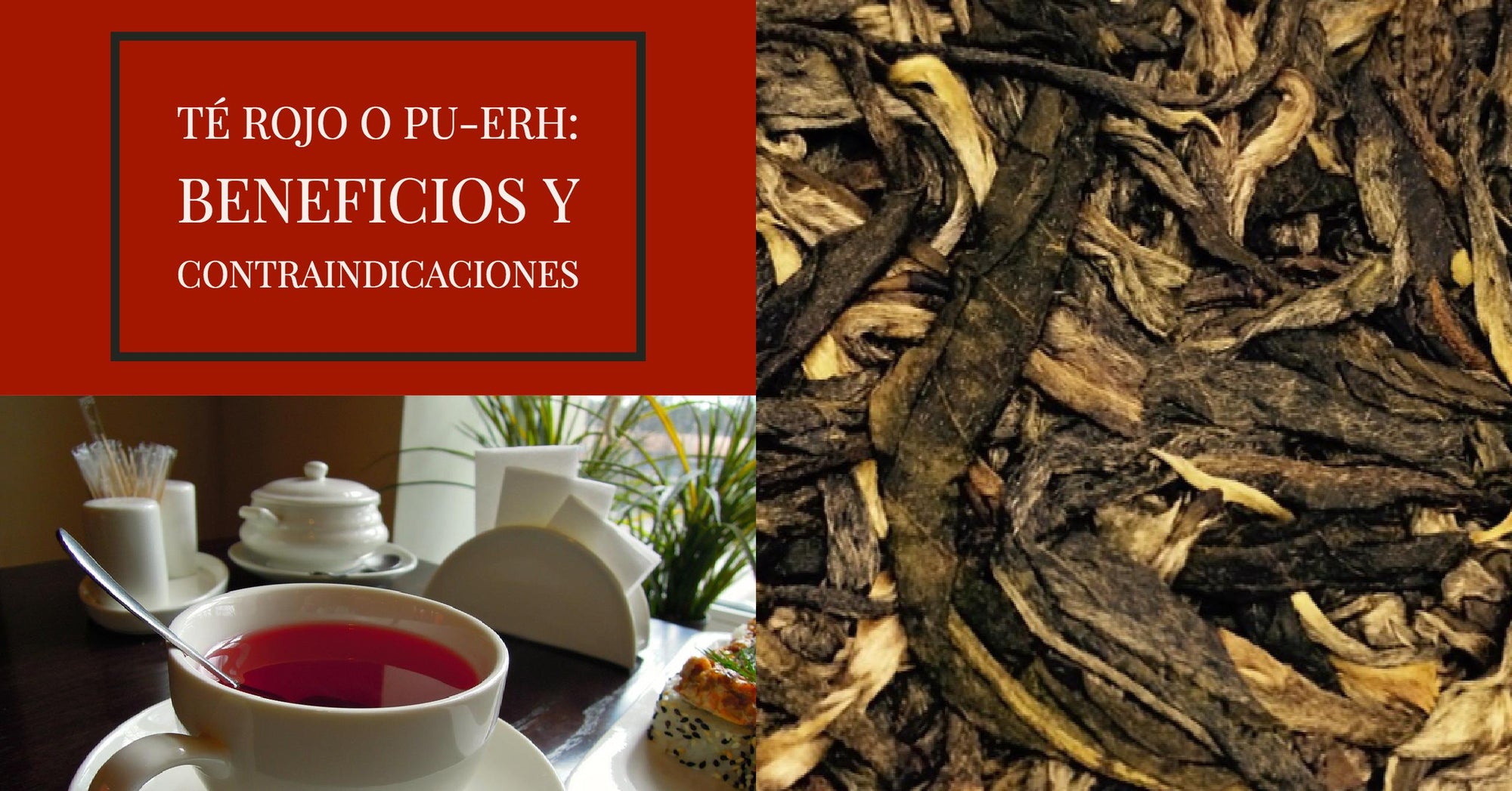 Té Rojo o Pu-Erh: Beneficios y contraindicaciones