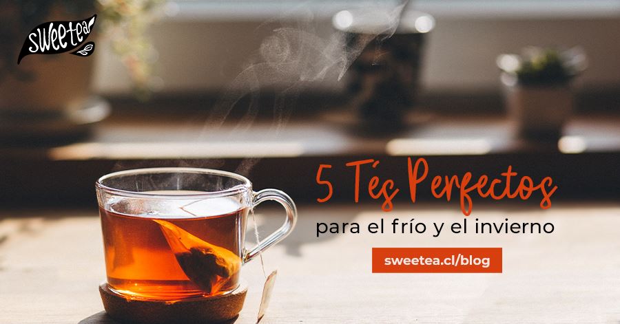 5 tés perfectos para el frío y el invierno