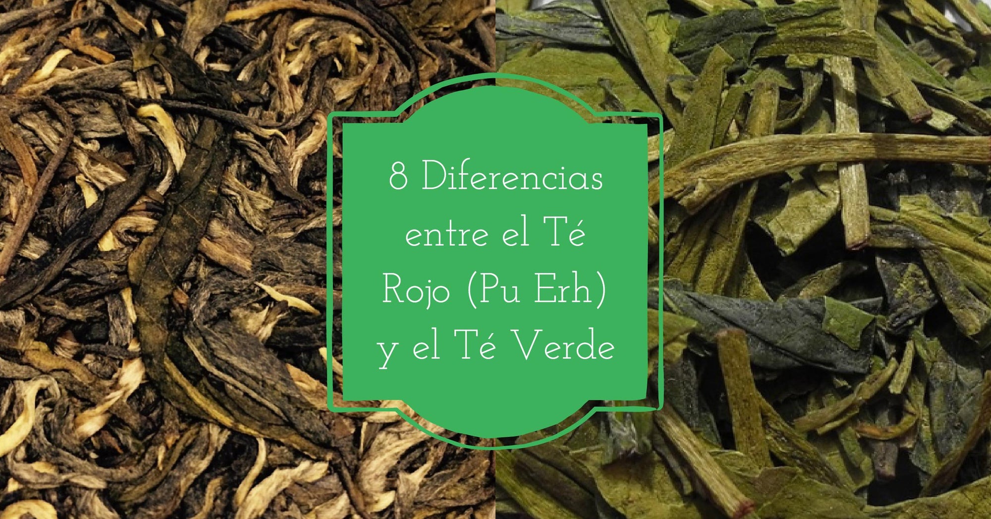 8 Diferencias entre el té rojo y el té verde