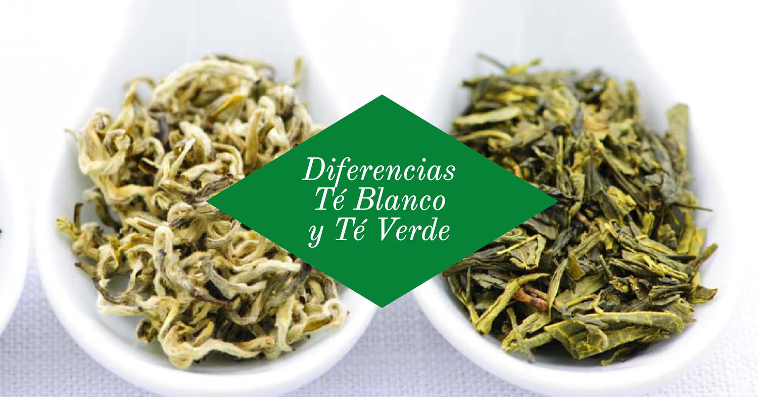 Diferencias entre el té verde y el té blanco