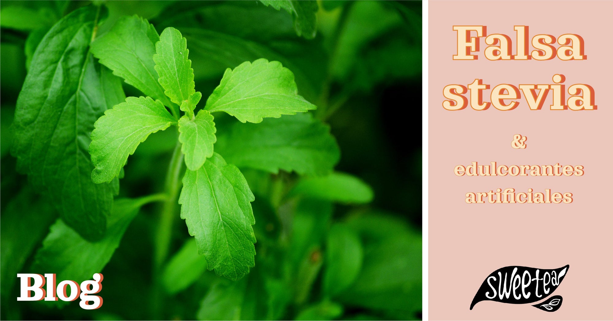 Endulzantes artificiales: El truco de la falsa stevia