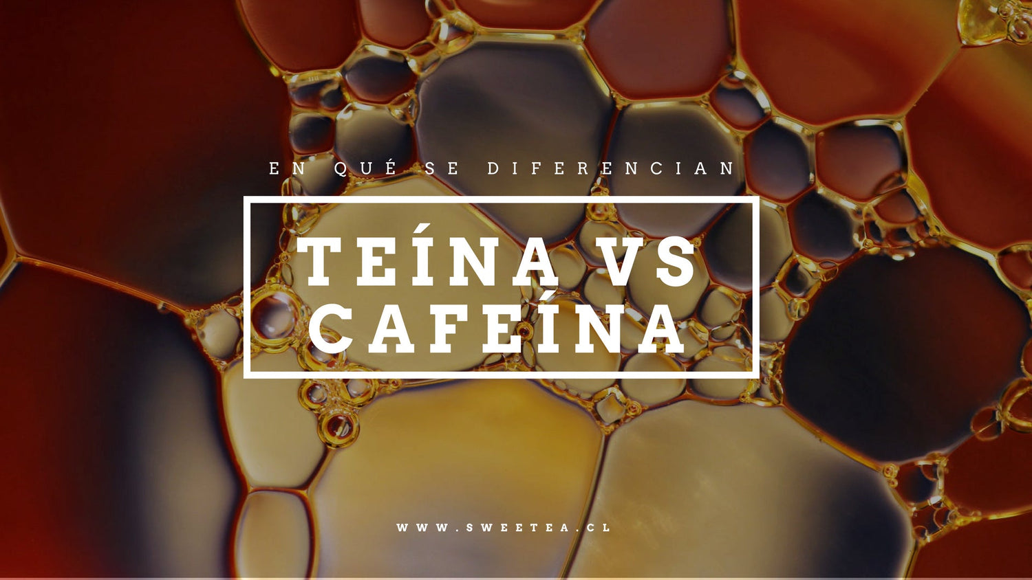 La diferencia entre la teína y la cafeína