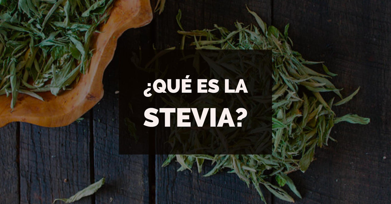 Qué es la stevia