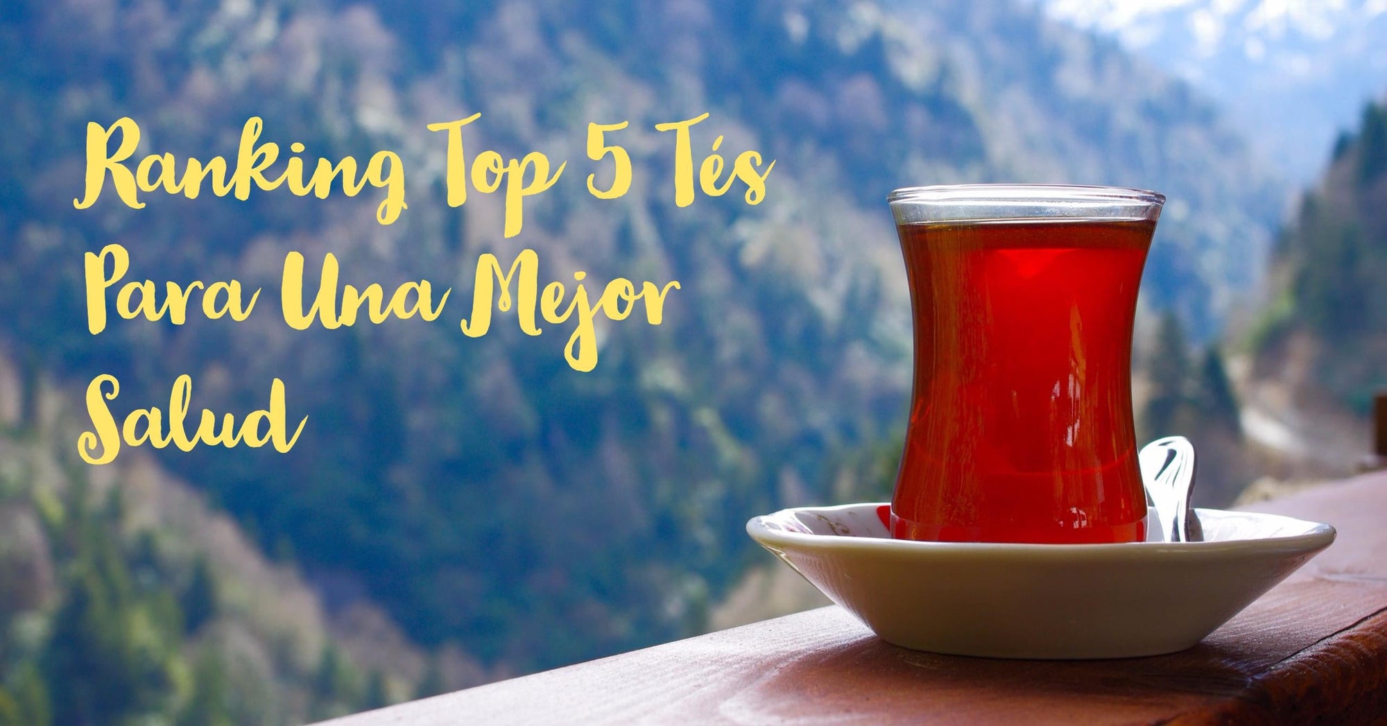 Ranking Sweetea: Top 5 tés e Infusiones más saludables