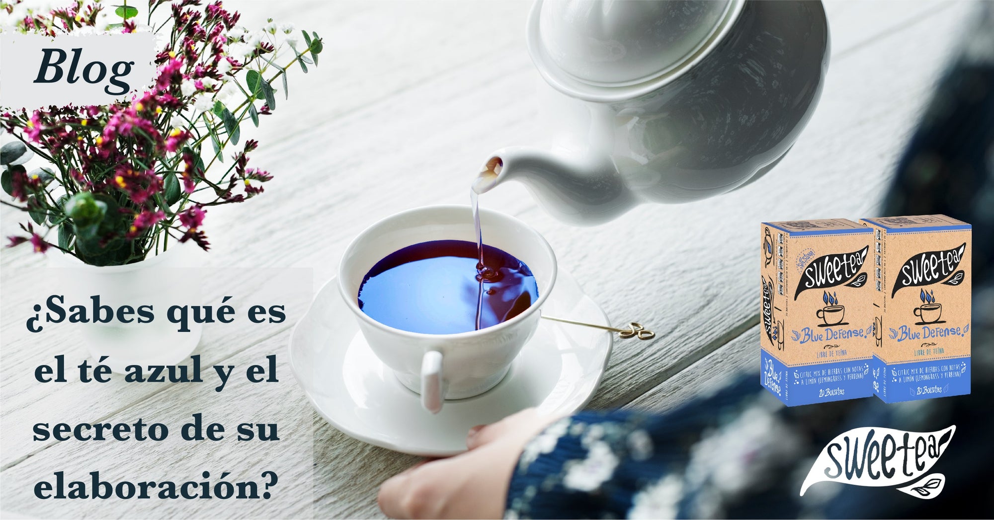 Té Azul o Té Oolong: Propiedades y Beneficios